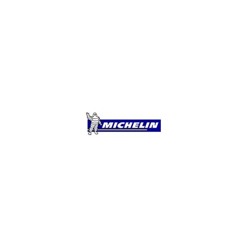 MICHELIN Padangos Power 5 R 73 W 180/55R17
